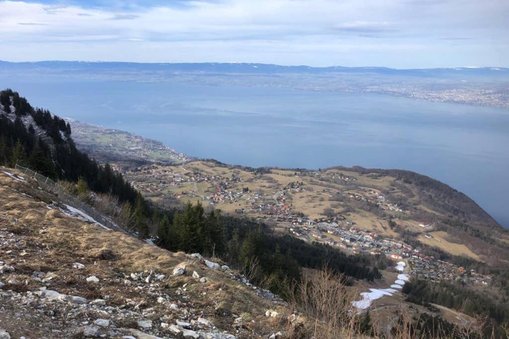 Studio Agreable Et Cosy Avec Vue Sur Les Memises Thollon-les-Memises エクステリア 写真
